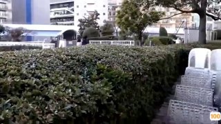 颜值清纯的欲女全程露脸大秀直播诱惑，开档黑丝情趣白衬衣镜头前自慰诱惑狼友，浪叫呻吟表情好骚鲍鱼好美第03集